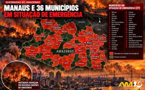 Manaus e 36 municípios do Amazonas estão em emergência por causa das queimadas