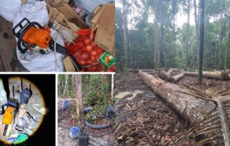 MP cobra responsabilização por desmatamento de mais de 3,7 mil hectares em Manicoré