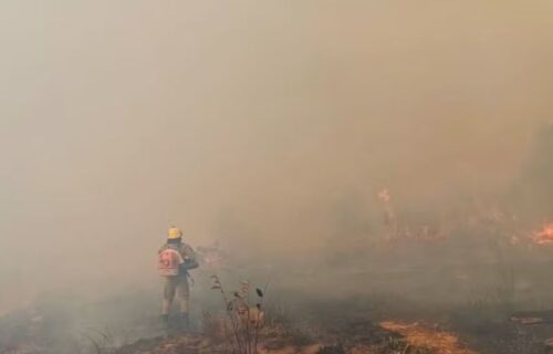 Sem bombeiros, combate às queimadas expõe fragilidade no interior do AM