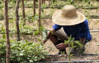 MPF dá 30 dias para Incra reforçar atuação contra conflitos agrários no AM