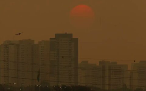Níveis de gases de efeito estufa chegam a novo recorde