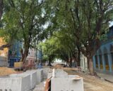 Oitizeiros da Ferreira Pena serão preservados em obra