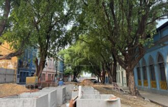 Oitizeiros da Ferreira Pena serão preservados em obra