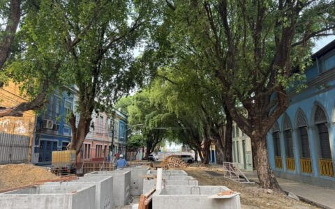 Oitizeiros da Ferreira Pena serão preservados em obra