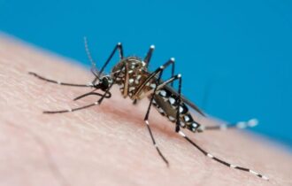 Quase metade das cidades brasileiras está em alerta ou risco para dengue