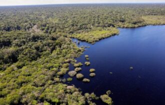 Queda de desmatamento no Brasil gera R$ 1,16 trilhão à economia global