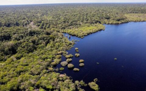 Queda de desmatamento no Brasil gera R$ 1,16 trilhão à economia global