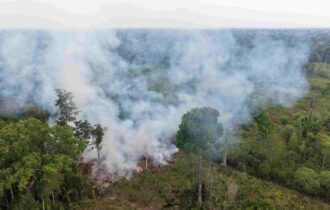 Queimada desafia proibição e termina em multa de R$ 15 mil no Careiro