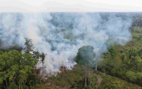 Queimada desafia proibição e termina em multa de R$ 15 mil no Careiro