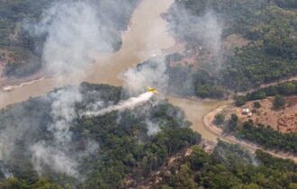 Queimadas no Amazonas: operação federal ajuda a extinguir 338 incêndios