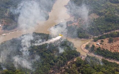 Queimadas no Amazonas: operação federal ajuda a extinguir 338 incêndios