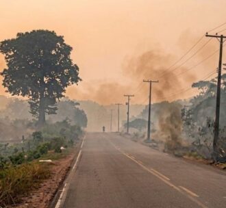 Amazonas decreta emergência em 36 municípios atingidos por incêndios florestais