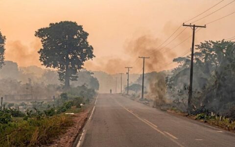 Amazonas decreta emergência em 36 municípios atingidos por incêndios florestais