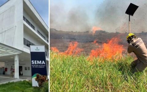 SEMA paga mais de R$ 104 mil por publicações enquanto AM enfrenta queimadas