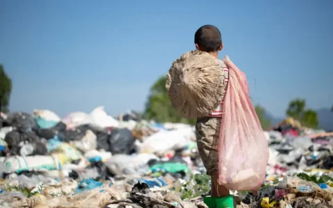 Trabalho infantil cai 9,2% no Brasil entre 2024 e 2025