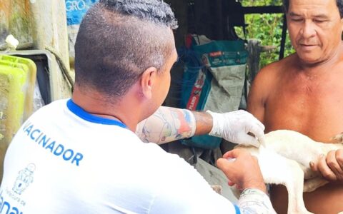 Vacinação contra raiva alcança 2,3 mil pets na zona rural