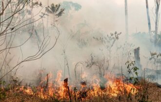 Verba para queimadas amplia cobrança sobre Roberto Cidade