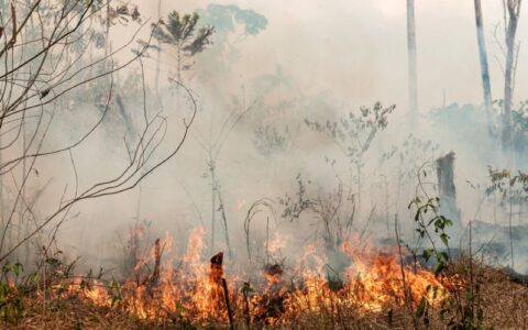 Verba para queimadas amplia cobrança sobre Roberto Cidade