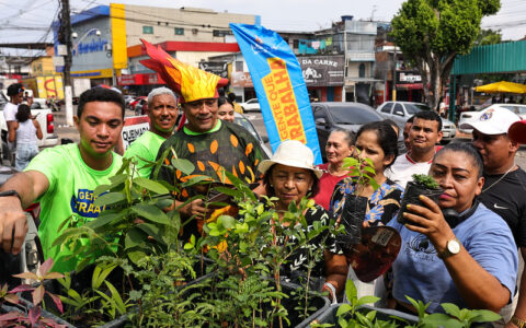 Zona Oeste recebe 400 mudas em ação ambiental em Manaus